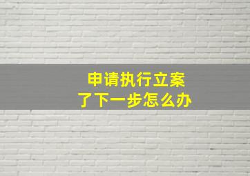 申请执行立案了下一步怎么办