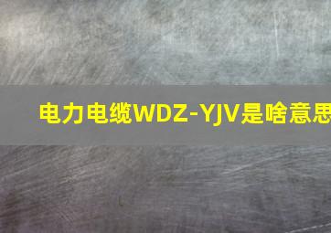 电力电缆WDZ-YJV是啥意思