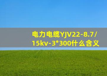 电力电缆YJV22-8.7/15kv-3*300什么含义