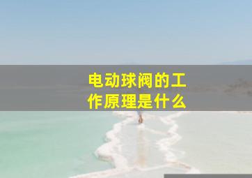 电动球阀的工作原理是什么