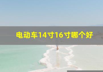 电动车14寸16寸哪个好