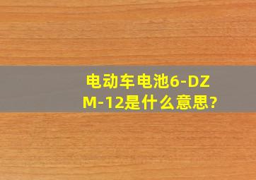 电动车电池6-DZM-12是什么意思?