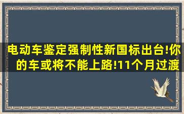 电动车鉴定强制性新国标出台!你的车或将不能上路!11个月过渡期