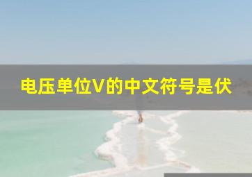 电压单位V的中文符号是伏。