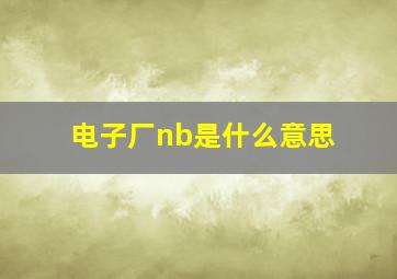 电子厂nb是什么意思