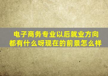 电子商务专业以后就业方向都有什么呀,现在的前景怎么样