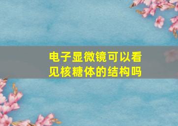 电子显微镜可以看见核糖体的结构吗