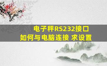 电子秤RS232接口 如何与电脑连接 求设置