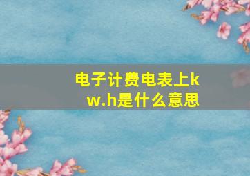 电子计费电表上kw.h是什么意思