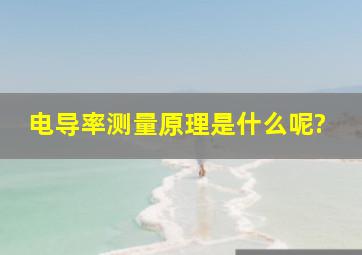 电导率测量原理是什么呢?