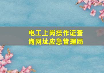 电工上岗操作证查询网址【应急管理局】