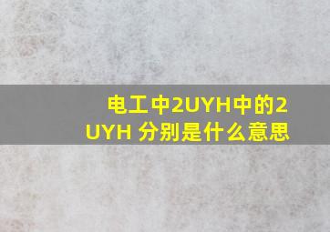 电工中2UYH中的2,U,Y,H 分别是什么意思