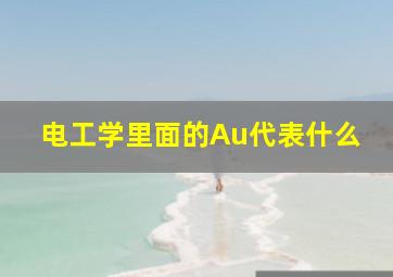 电工学里面的Au代表什么(