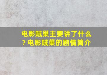 电影《贼巢》主要讲了什么? 电影贼巢的剧情简介