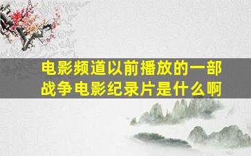 电影频道以前播放的一部战争电影纪录片是什么啊