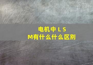 电机中 L, S , M,有什么什么区别