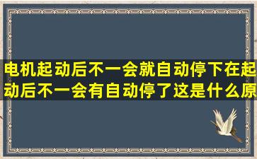 电机起动后不一会就自动停下,在起动后不一会有自动停了这是什么原因?