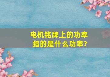 电机铭牌上的功率指的是什么功率?