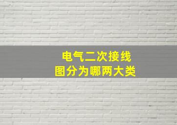 电气二次接线图分为哪两大类