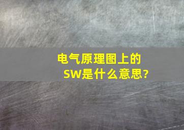电气原理图上的SW是什么意思?