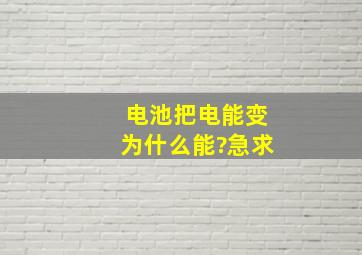 电池把电能变为什么能?急求