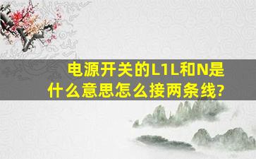 电源开关的L1、L、和N是什么意思,怎么接两条线?