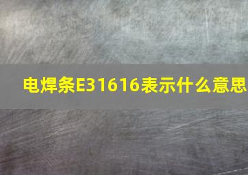 电焊条E31616表示什么意思