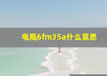 电瓶6fm35a什么意思