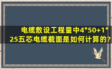 电缆敷设工程量中,4*50+1*25五芯电缆截面是如何计算的?