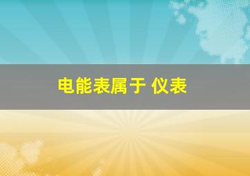 电能表属于( )仪表。