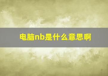 电脑nb是什么意思啊