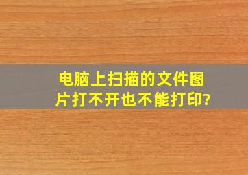 电脑上扫描的文件图片打不开也不能打印?