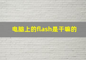 电脑上的flash是干嘛的