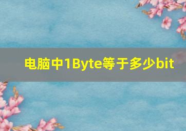 电脑中1Byte等于多少bit 