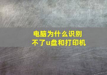 电脑为什么识别不了u盘和打印机