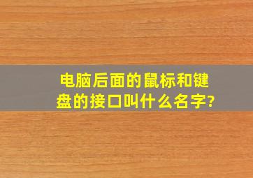 电脑后面的鼠标和键盘的接口叫什么名字?