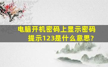 电脑开机密码上显示密码提示123是什么意思?