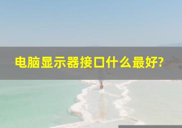 电脑显示器接口什么最好?