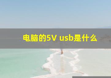 电脑的5V usb是什么