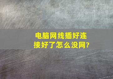 电脑网线插好连接好了,怎么没网?