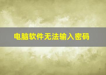 电脑软件无法输入密码