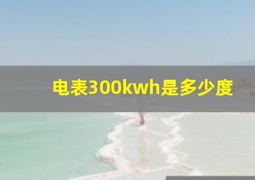 电表300kwh是多少度