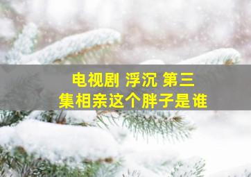 电视剧 浮沉 第三集相亲这个胖子是谁