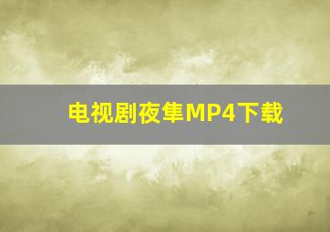 电视剧《夜隼》MP4下载