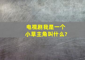 电视剧《我是一个小草》主角叫什么?