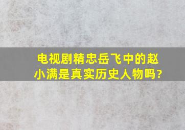 电视剧《精忠岳飞》中的赵小满是真实历史人物吗?