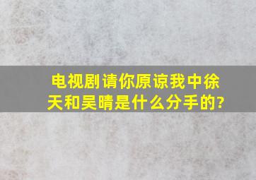 电视剧《请你原谅我》中徐天和吴晴是什么分手的?