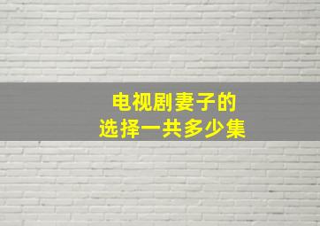 电视剧妻子的选择一共多少集