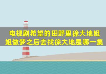 电视剧希望的田野里徐大地姐姐做梦之后去找徐大地是哪一集