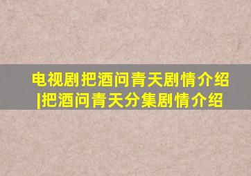 电视剧把酒问青天剧情介绍|把酒问青天分集剧情介绍